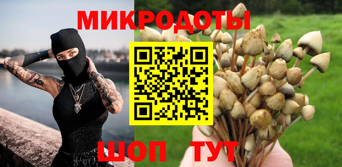 Галлюциногенные грибы Magic Shrooms Шелехов