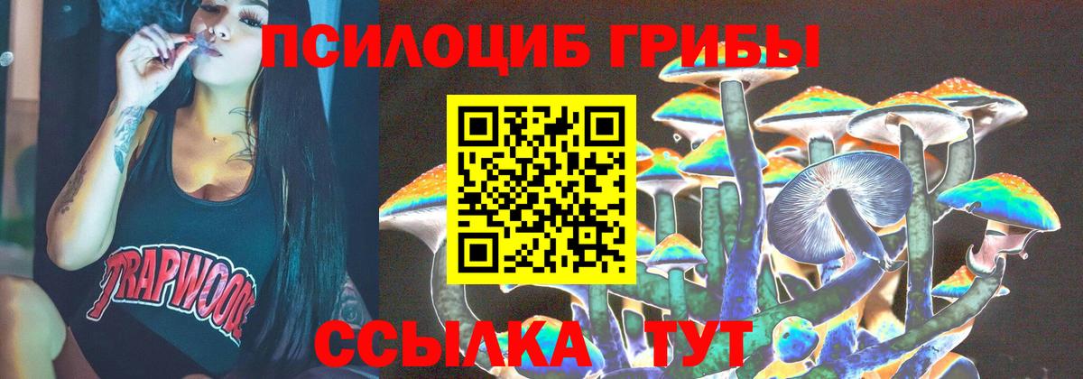 Шелехов  Псилоцибиновые грибы GOLDEN TEACHER  Вход с VPN 